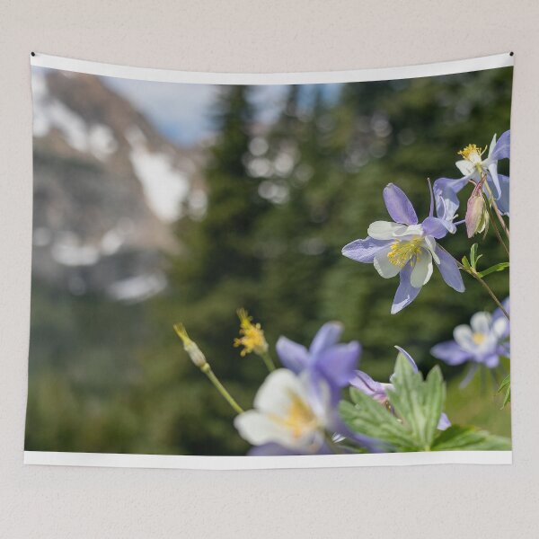 Item preview, Colorado Columbine on a Hillside designed and sold by MtnGirlK8.