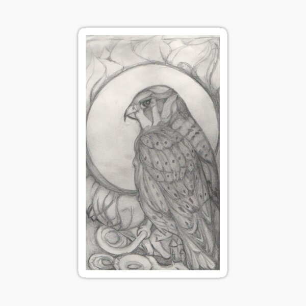 Sparrowhawk Sticker