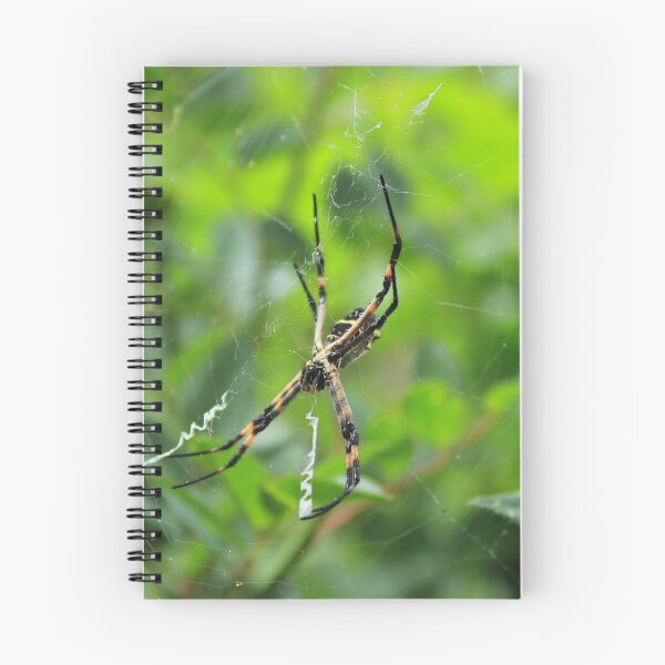 Item preview, Orb Weaver Spider in the Rain designed and sold by rhamm.