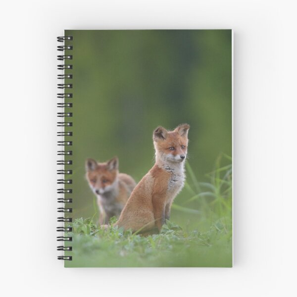 Item preview, Red foxes  designed and sold by Remo Savisaar.