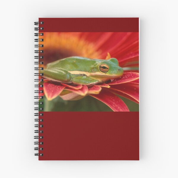 Item preview, Green Tree Frog on a Red Flower designed and sold by ScienceSource.
