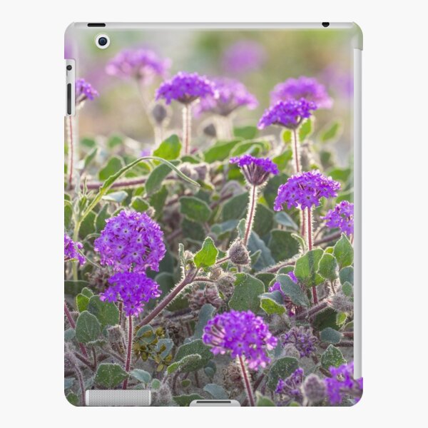 Purple Field of Flowers, Desert Verbena iPad Snap Case