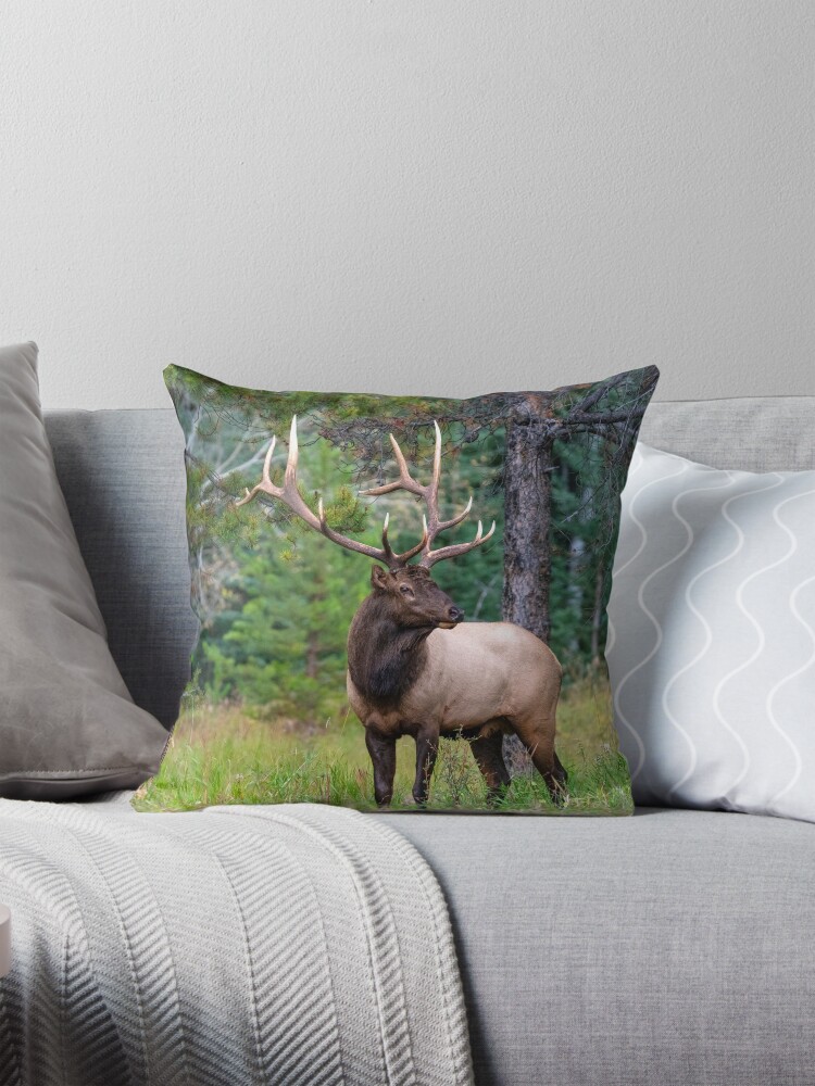 Elk throw pillows best sale