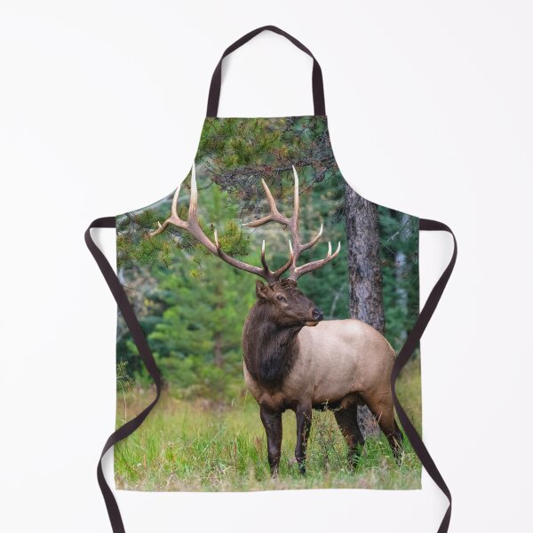 Item preview, Bull Elk or wapiti (Cervus canadensis) with Antler Rack designed and sold by ScienceSource.