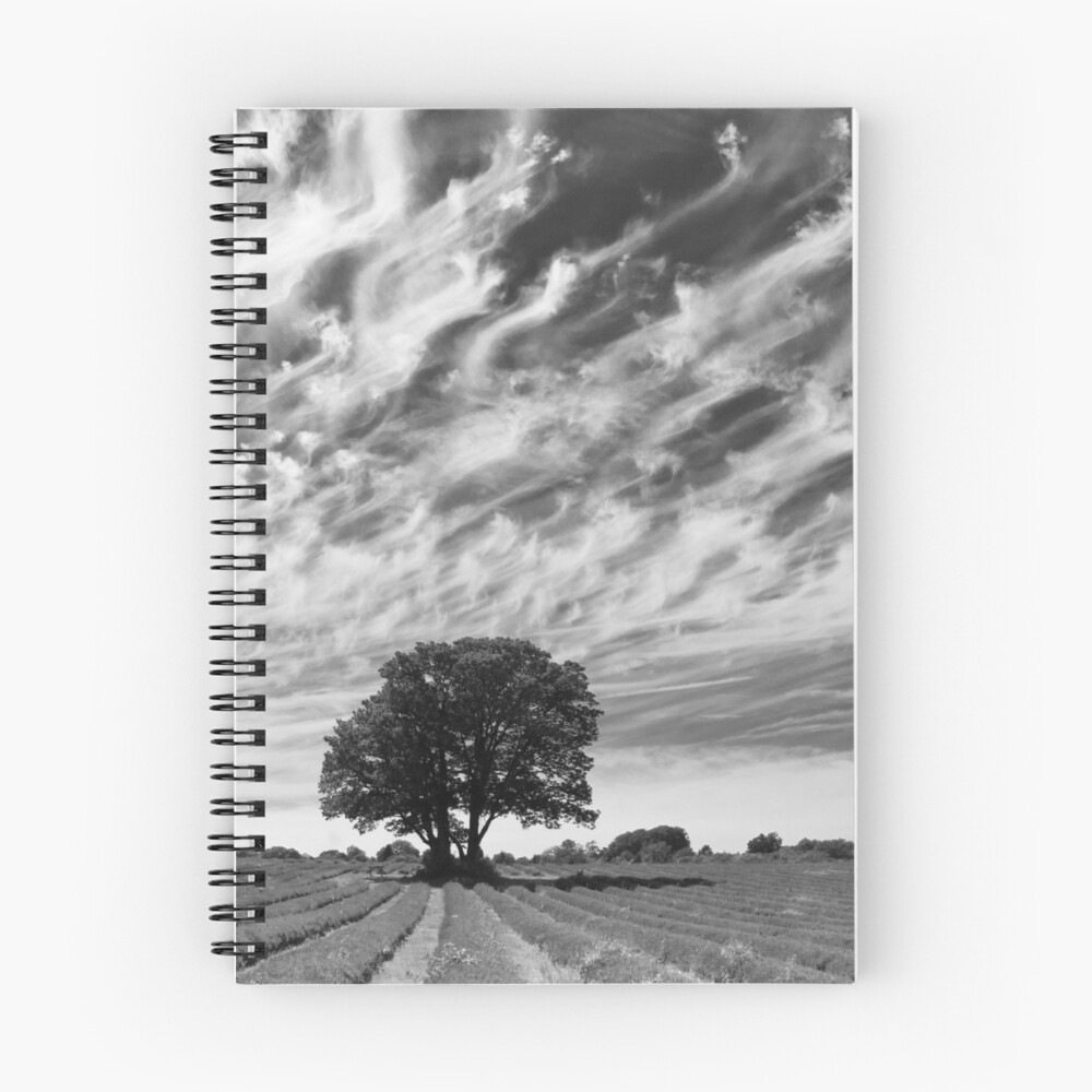 Item preview, Spiral Notebook designed and sold by imagejournal.