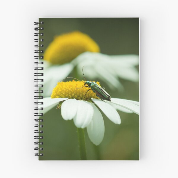 Aperçu de l'œuvre The Bug & Daisy créée et vendue par imagejournal.