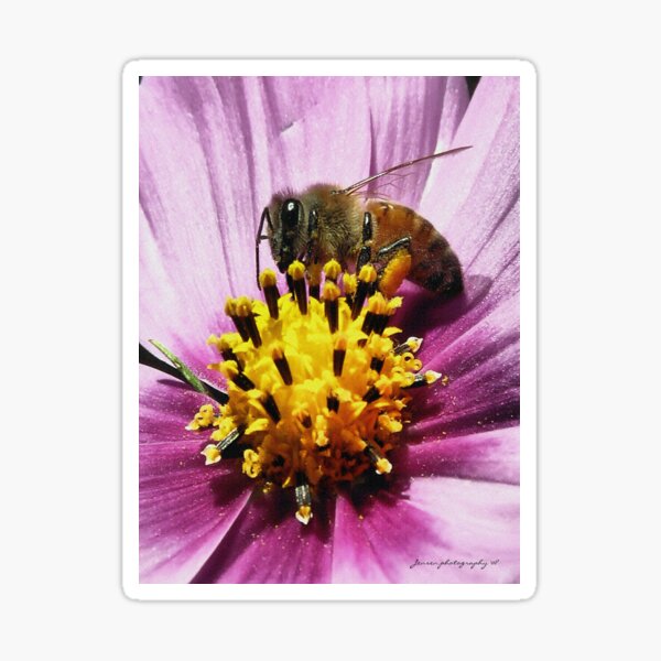 Artikel-Vorschau von Pollen hier, Pollen dort, Pollen überall, designt und verkauft von Carla Jensen.