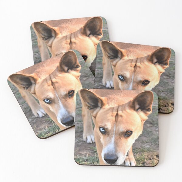 Item preview, Have you seen my contact designed and sold by Roger Fowler.