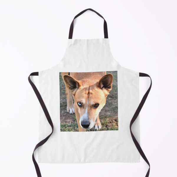 Item preview, Have you seen my contact designed and sold by Roger Fowler.