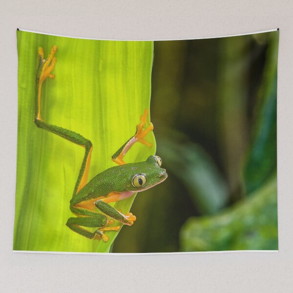 Item preview, Cute Monkey Treefrog in the Rainforest designed and sold by ScienceSource.