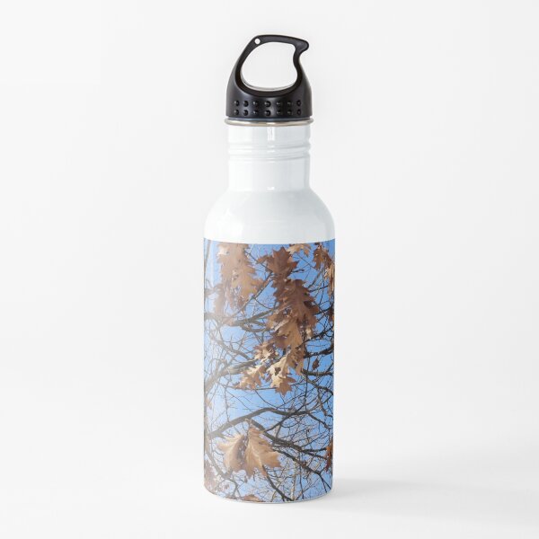 Dry autumn leaves on the tree Water Bottle