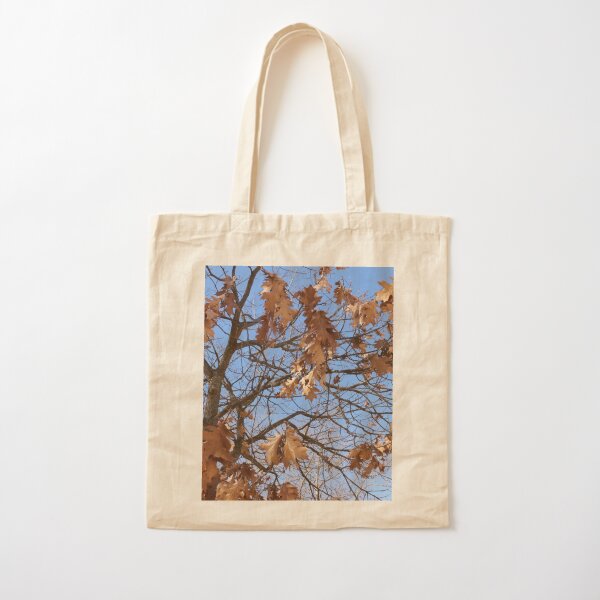 Dry autumn leaves on the tree Cotton Tote Bag