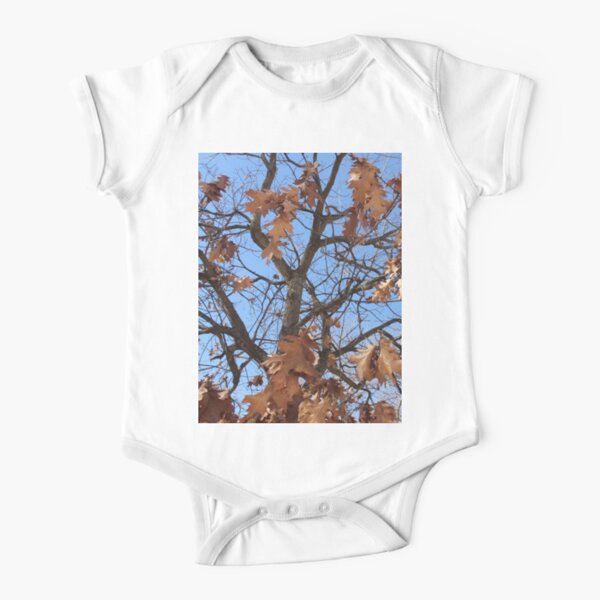 Dry autumn leaves on the tree Short Sleeve Baby One-Piece