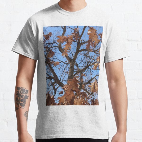 Dry autumn leaves on the tree Classic T-Shirt