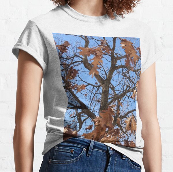 Dry autumn leaves on the tree Classic T-Shirt