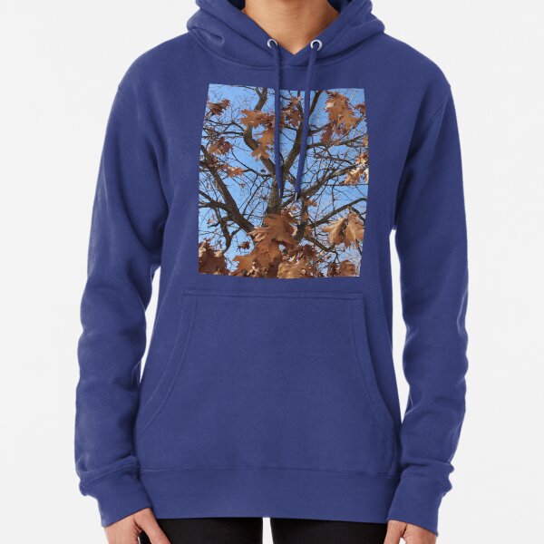 Dry autumn leaves on the tree Pullover Hoodie