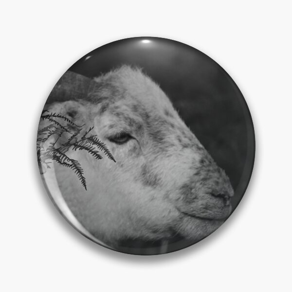 Item preview, Sheep with horns in the bracken. designed and sold by frogs123.