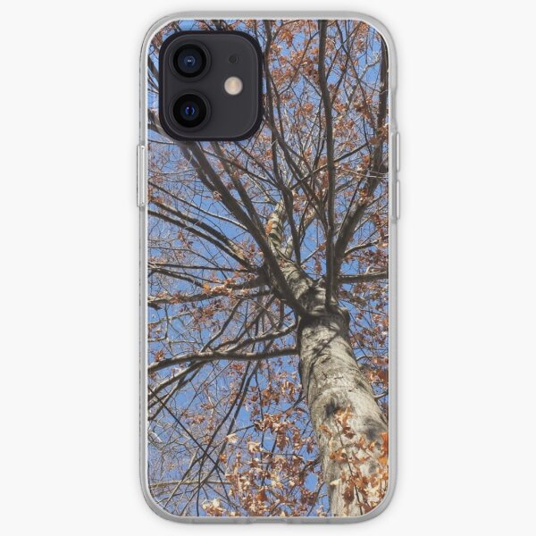 Dry autumn leaves on the tree iPhone Soft Case