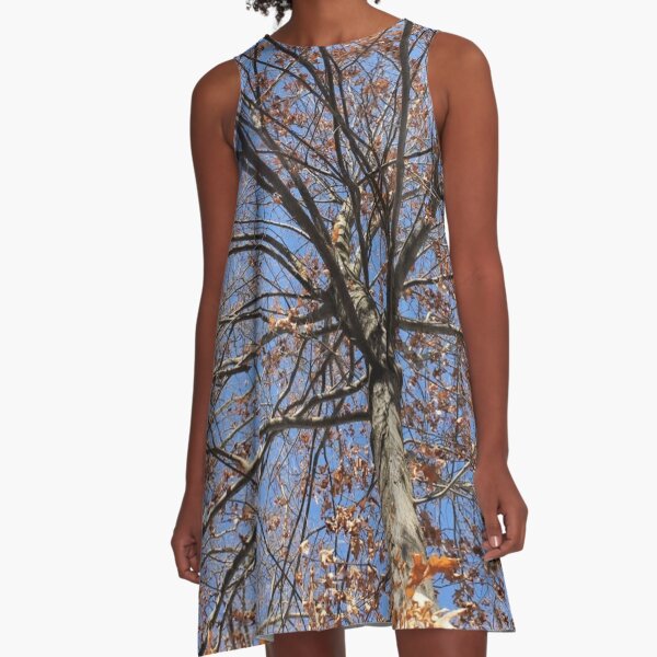 Dry autumn leaves on the tree A-Line Dress