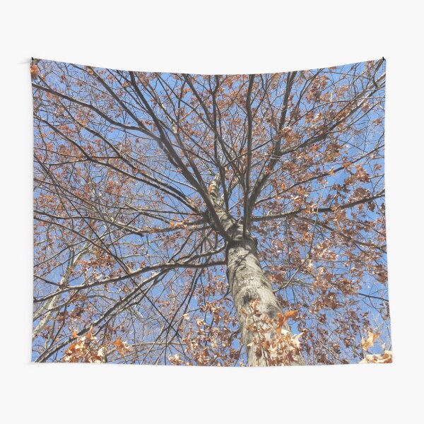 Dry autumn leaves on the tree Tapestry