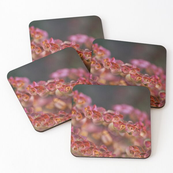 Item preview, Beautiful Red Mediterranean Spurge  designed and sold by Joy Watson - Natural Light Photography .