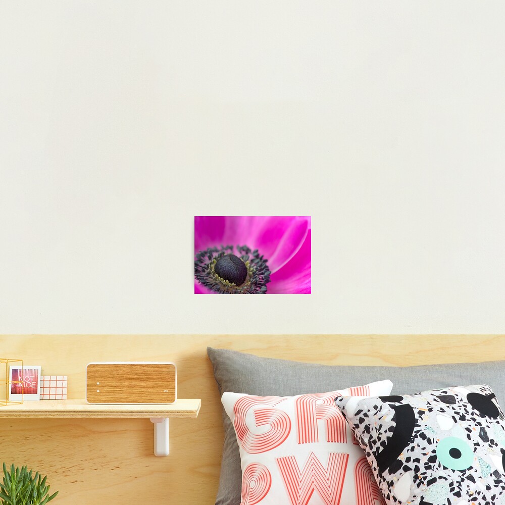 Item preview, Photographic Print designed and sold by imagejournal.