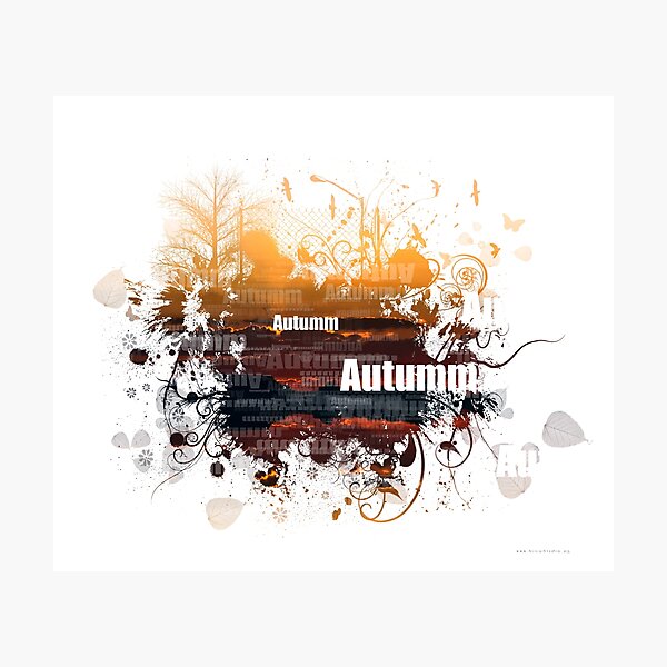 Sunset Photographic Print