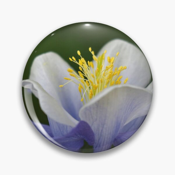 Item preview, Close up of Columbine designed and sold by MtnGirlK8.