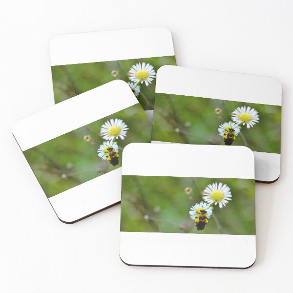 Item preview,  Baby Bumble Bee on a White Daisy designed and sold by Robert Link.