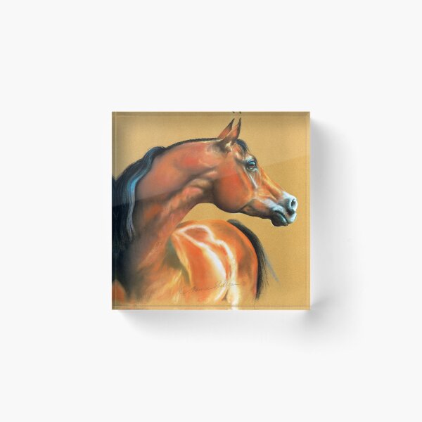 Aperçu de l'œuvre Fier étalon arabe créée et vendue par AnimalArtistry.