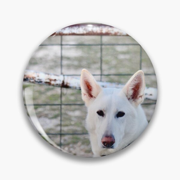Item preview, Beware, Guard Dog Guarding designed and sold by OpheliaLamp.