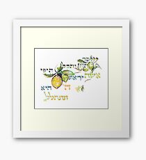 A Virtuous Woman - Eshet Chayil - Mishlei 31:30 Framed Print
