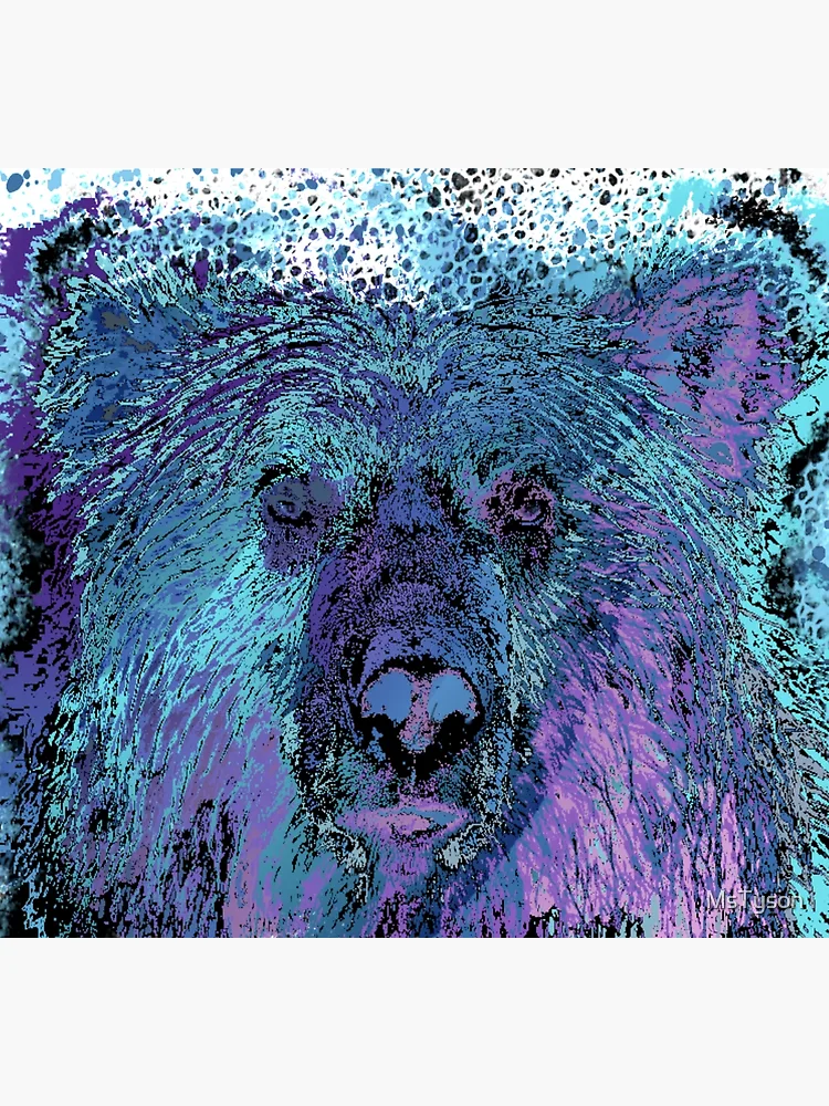 Thumbnail 5 of 5, Socks, bear gradient designed and sold by MsTyson.