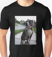 Pit Bull Unisex T-Shirt