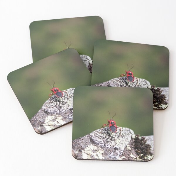 Item preview, Assassin Bug designed and sold by Charles August.