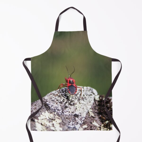 Item preview, Assassin Bug designed and sold by Charles August.
