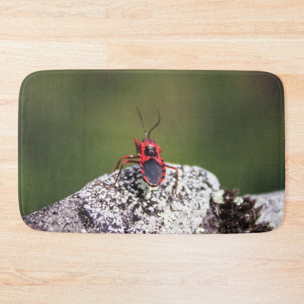 Item preview, Assassin Bug designed and sold by Charles August.