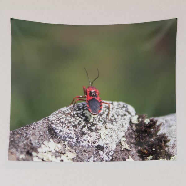 Item preview, Assassin Bug designed and sold by Charles August.