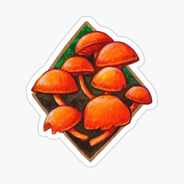Orange Mycena Mushrooms Sticker