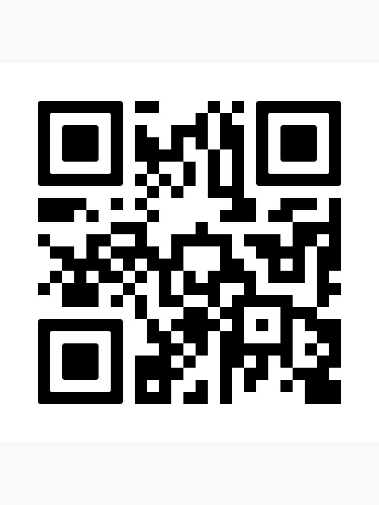 "Quackity youtube channel QR code scanner" Metal Print by mayleemann