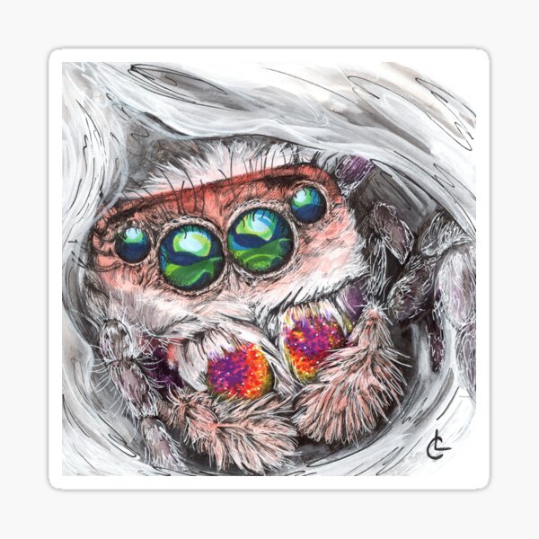 Item preview, Jumping Spider | "HIDE" from Inktober 2020 designed and sold by LizaCompass.