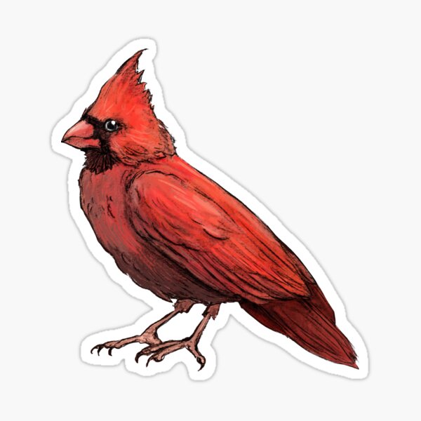 Cardinal Sticker
