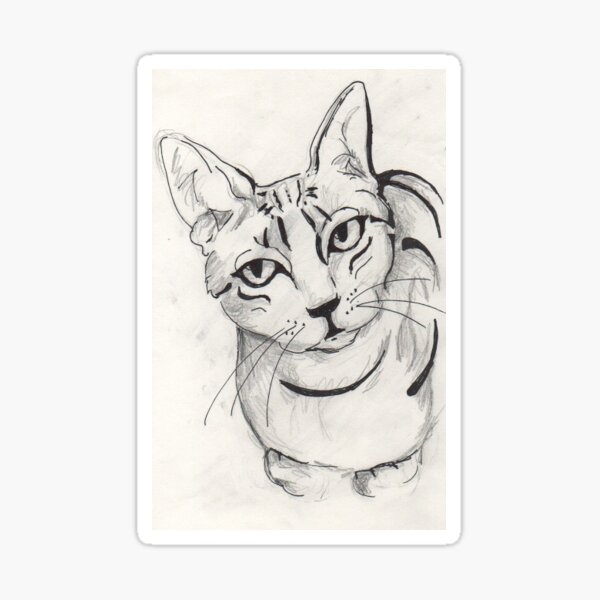 Pretty Kitty Sticker