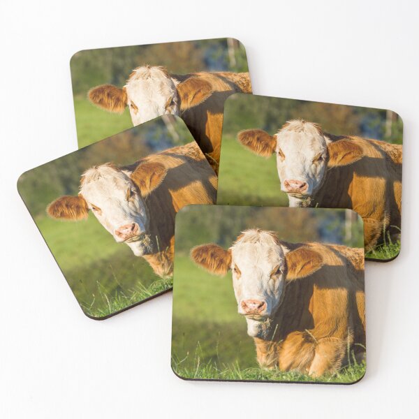 Item preview, Simmental Calf designed and sold by Jane Stanley Photography.