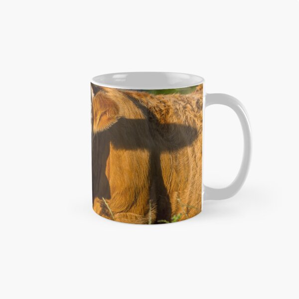 Item preview, Simmental Calf designed and sold by Jane Stanley Photography.