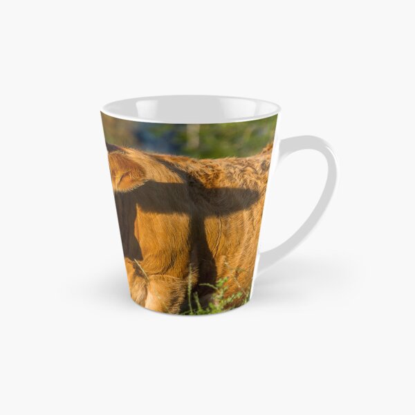 Item preview, Simmental Calf designed and sold by Jane Stanley Photography.