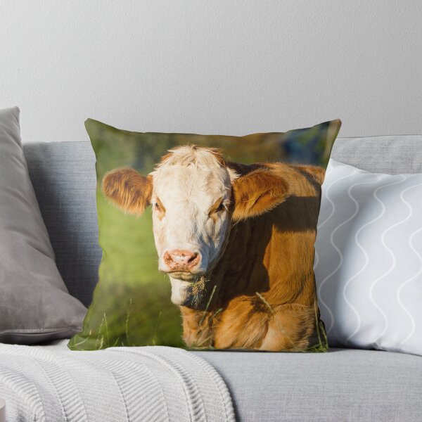 Item preview, Simmental Calf designed and sold by Jane Stanley Photography.