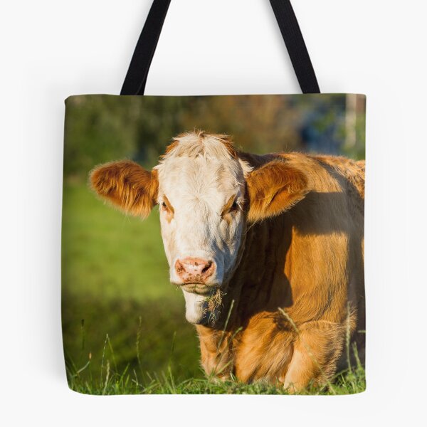Item preview, Simmental Calf designed and sold by Jane Stanley Photography.