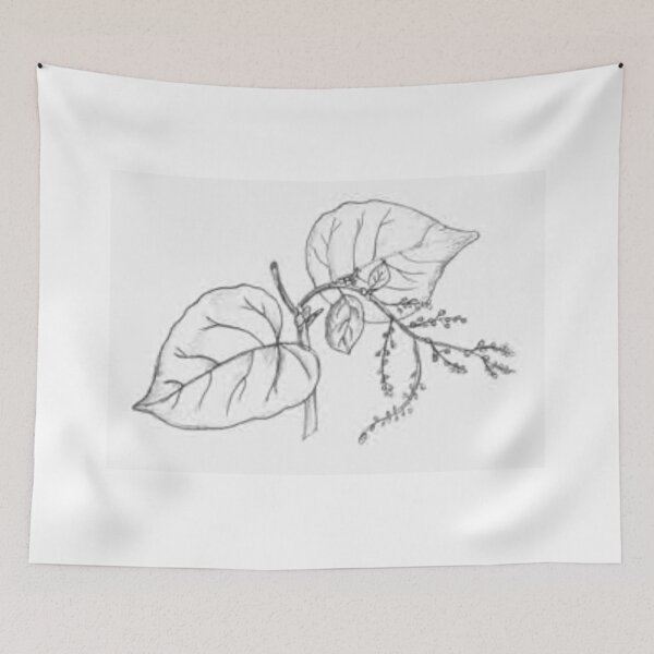Item preview, PLANT DRAWING designed and sold by Djamila-Salome.