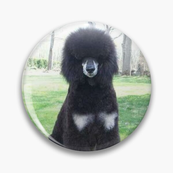 Item preview, Poodle photo cute pet dog dos pets puppy sweet  designed and sold by Coolstuff4you71.